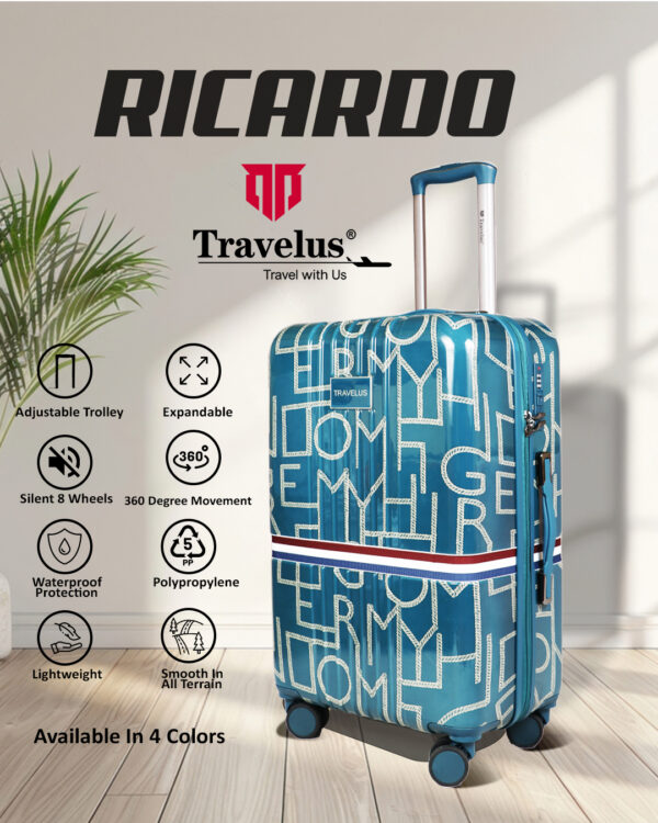 Ricardo - Image 2